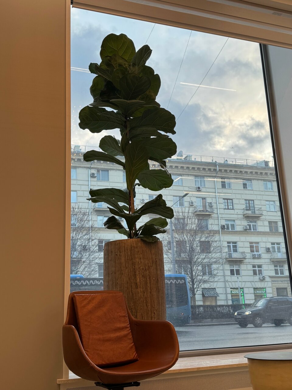Вид из окна ВалиДент на Большую Полянку